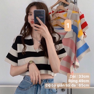 Áo crop len sọc #64545