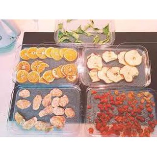 Máy sấy hoa quả, thực phẩm WMF 5 tầng giúp bảo quản trái cây được lâu [Hàng Đức]