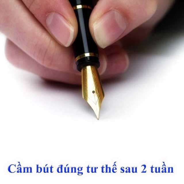 Đệm tay cầm bút