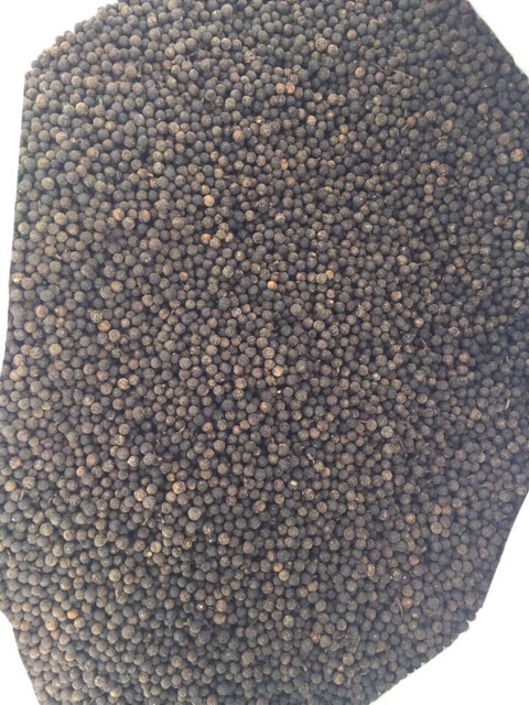 ☘️🍃TIÊU RỪNG 3ky 🍁☘️