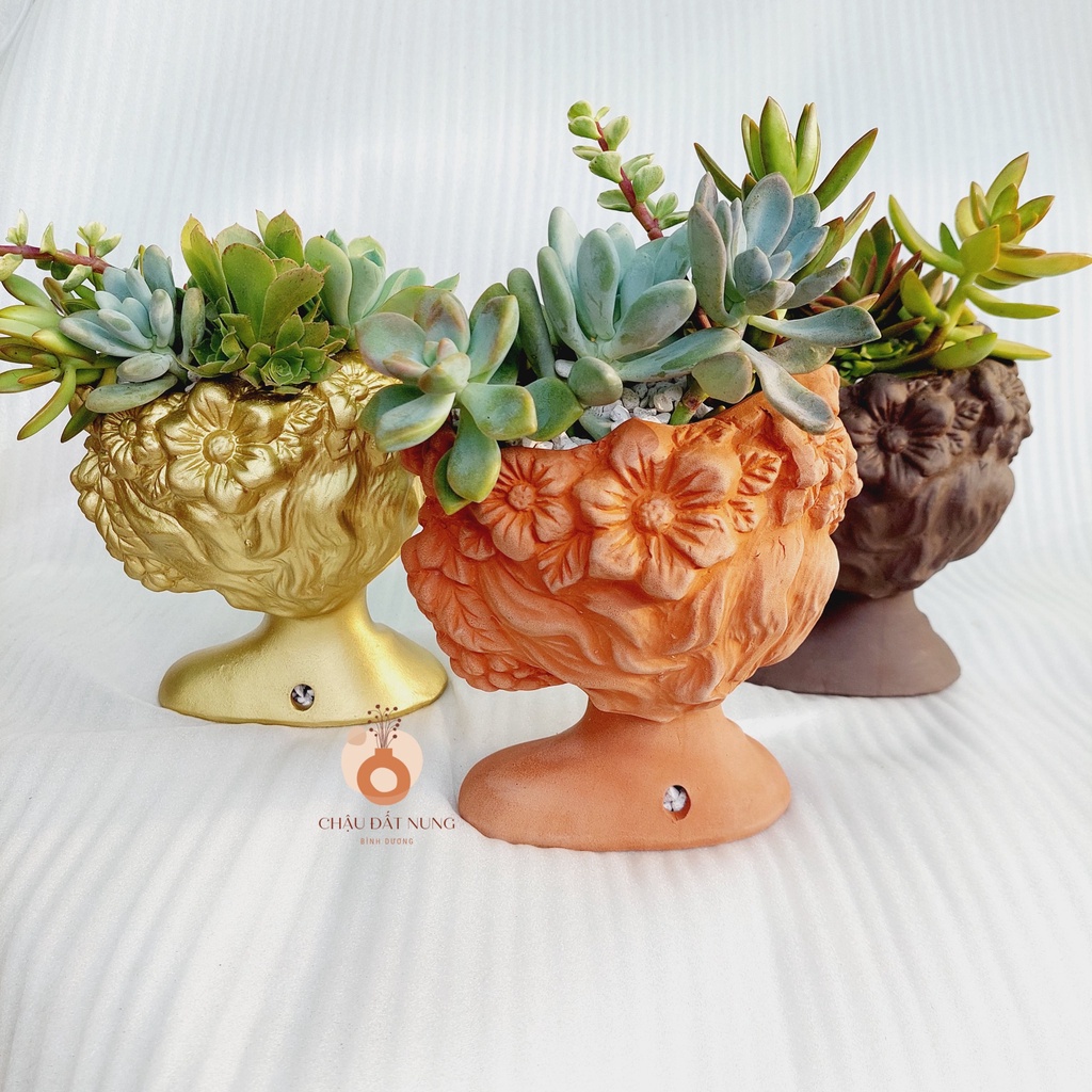 Chậu đất nung, Chậu sen đá - Quý bà Rosa, đường kính miệng 11cm, chiều cao 19cm