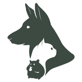 Pet kingdom ú cưng