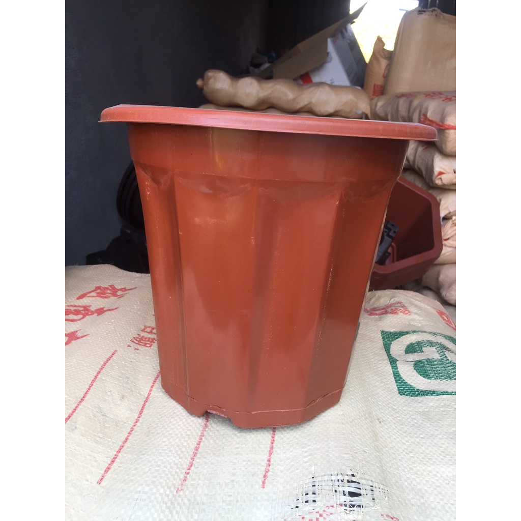 10 CHẬU NHỰA TRỒNG CÂY MÃ #E320 (BẠT PHỦ ĐẤT CHỐNG CỎ MỌC, BẦU KHAY TÚI ƯƠM...)