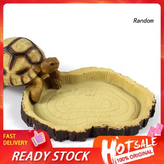 Khay Đựng Thức Ăn Cho Thú Cưng Bò Sát