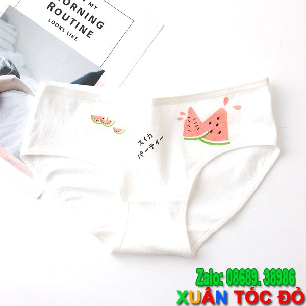 SỈ ZALO RẺ HƠN NHIỀU_ Quần Lót Mèo Tắm Trong Bồn Dưa Hấu Mới 5055 | BigBuy360 - bigbuy360.vn