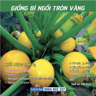 Hạt giống Bí Ngồi Tròn
