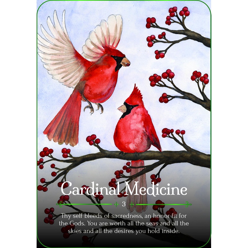 Bộ Bài Seasons of the Witch Yule Oracle (Mystic House Tarot Shop) - Bài Gốc Authentic Chính Hãng 100%