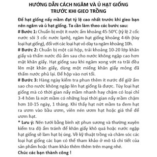 Hạt giống Cà xanh mỡ (0.5g)