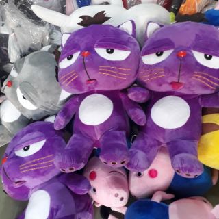 mèo Dinga 60cm