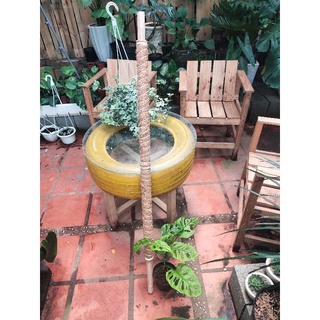Trụ cây dây leo sơ dừa(khử muối) k.mãi kẹp giữ cây, lõi gỗ, sợi cotton 65-130cm