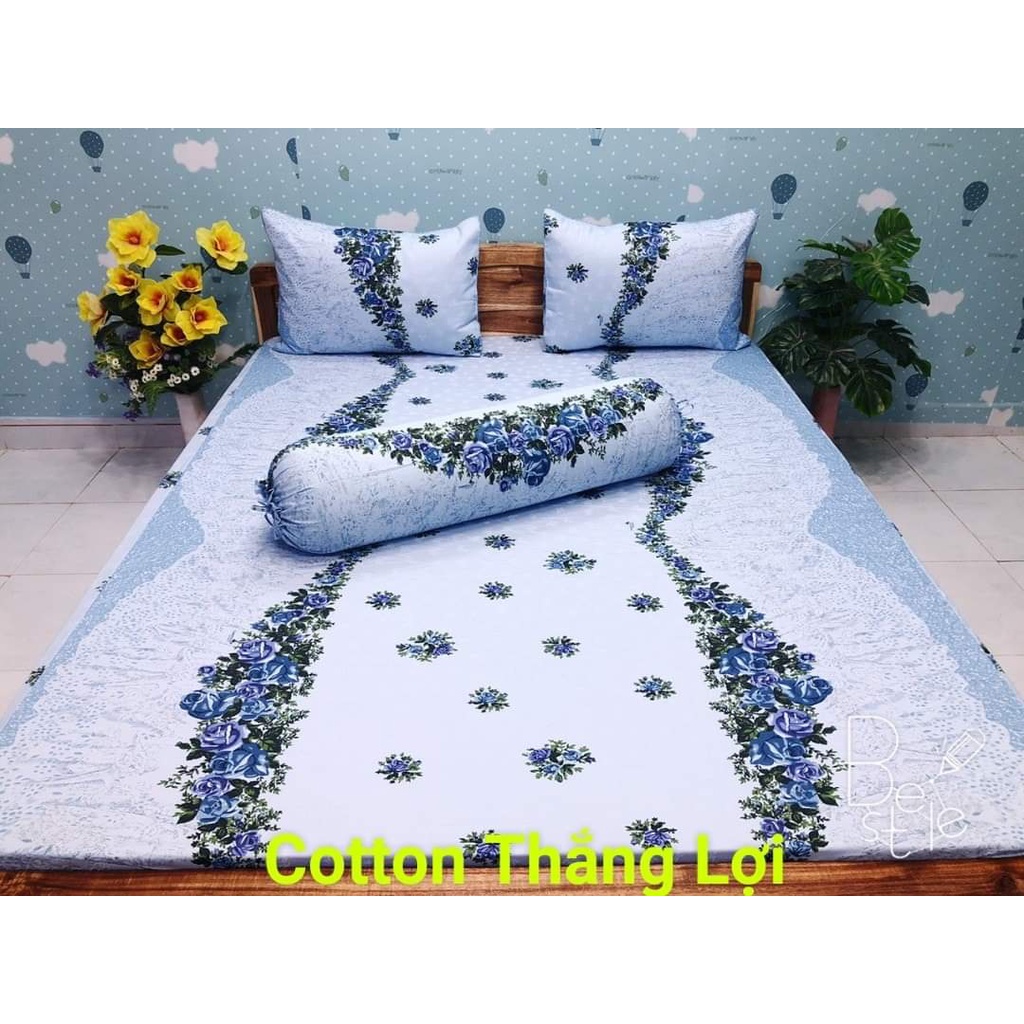 bộ drap cotton Thắng Lợi 1m8 chuẩn logo