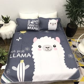 chiếu tencel mẫu 3d và 5d (chuẩn hãng )