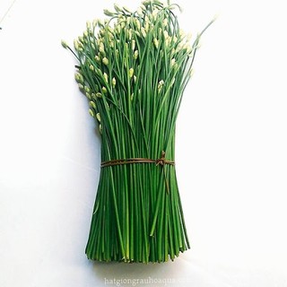 1g Hạt giống Hẹ Ăn Bông