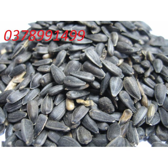 Hướng dương đen nhỏ cho chim các dòng vẹt 1kg