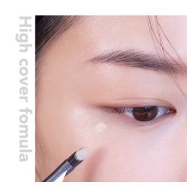 Che khuyết điểm dạng kem Luna Conceal Pot 7g