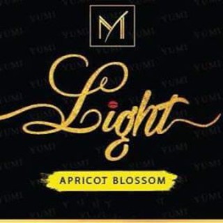 Bộ mực phun xăm thẩm mỹ cao cấp LIGHT