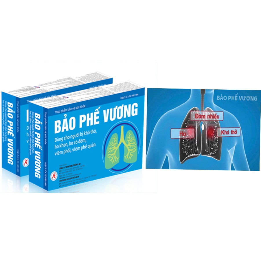 Bảo Phế Vương - Hỗ trợ thanh phế, giảm viêm, giảm đờm, giảm ho – Hỗ trợ giúp giảm triệu chứng viêm phế quản