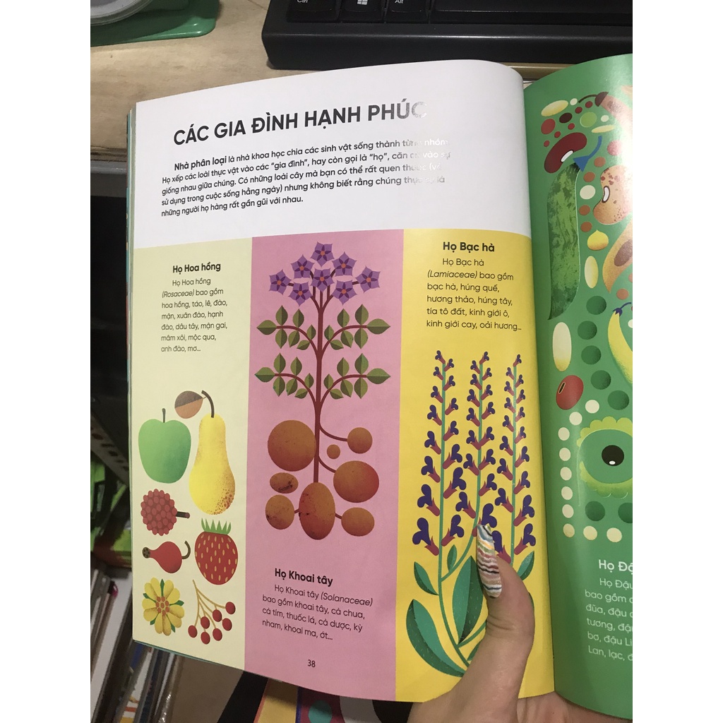 Sách - Bữa sáng của tớ là ánh dương