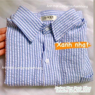 áo sơ mi kẻ xanh