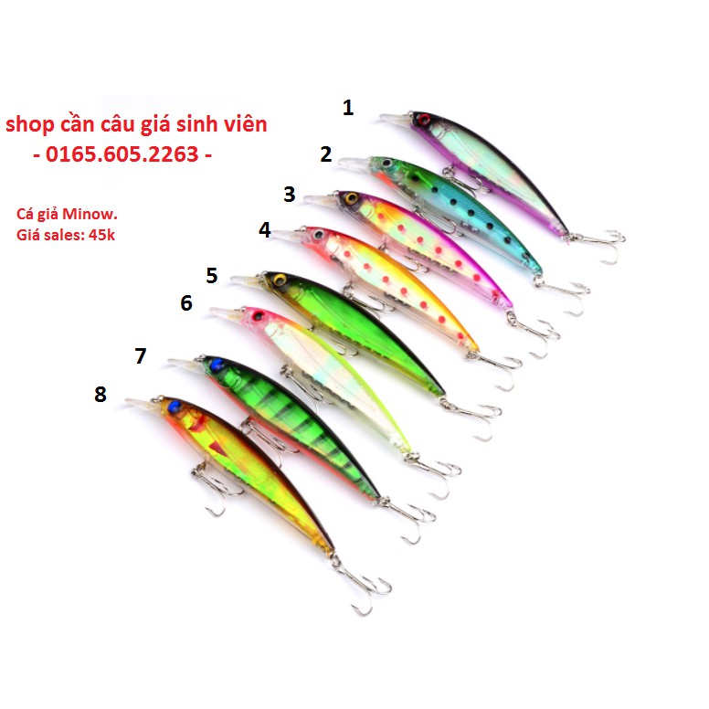 Mồi cá giả Minnow