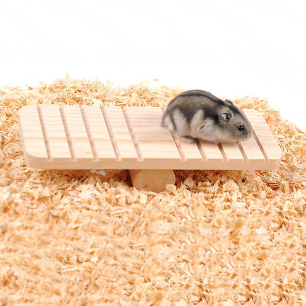 Tấm Ván Trượt Bằng Gỗ Chống Trượt Cho Chuột Hamster
