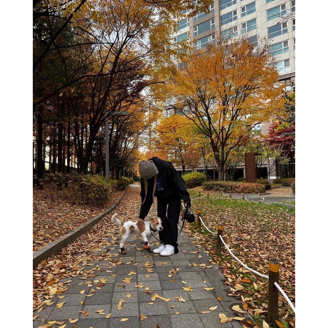 Áo hoodie Frog giống Rosé Blackpink