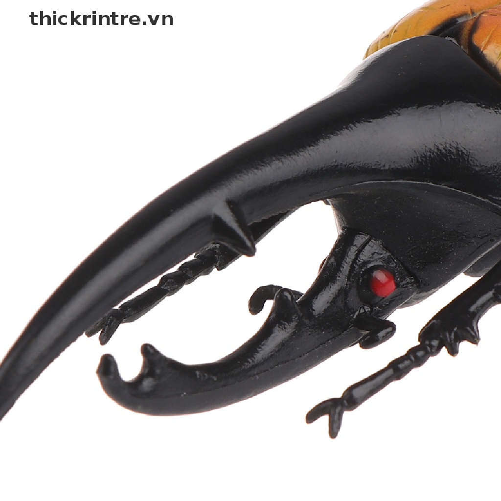 Đồ chơi mô hình bọ cánh cứng sáng tạo dùng dạy học cho bé