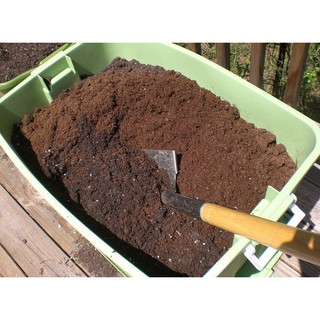 Đất sạch dùng để trồng cây không cần bón thêm phân hóa học