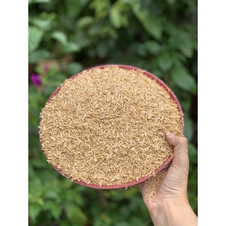 Võ trấu dùng bón cây