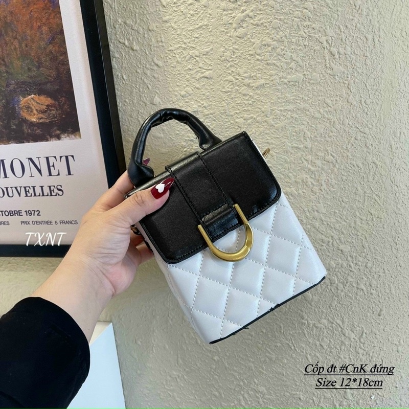 Túi đeo chéo,túi điện thoại dáng đứng có quai xách trần trám khoá móng ngựa phối màu siêu sang chảnh