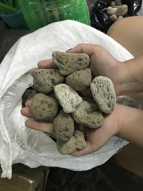 NHAM THẠCH TRẮNG / ĐÁ LÔNG VŨ Indonesia (1kg)