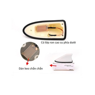 Anten vây cá cao cấp có đế cao su