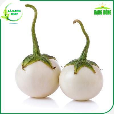 Hạt Giống Cà Pháo Trắng Cao Sản, Dễ Trồng, Siêu Trái - Hạt giống Rạng Đông