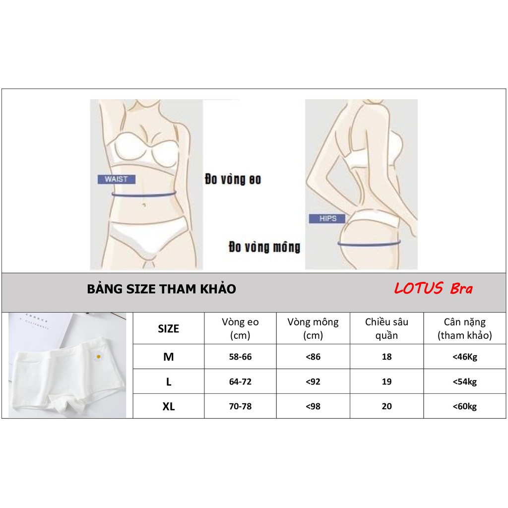 Quần lót nữ cotton cạp thấp Daisy Boxer kháng khuẩn co dãn thấm hút_NuciFera