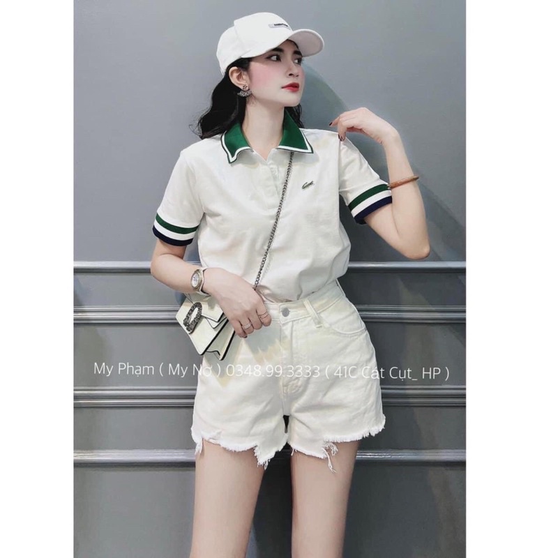 Áo polo cổ dệt phối xanh cá sấu TTA588