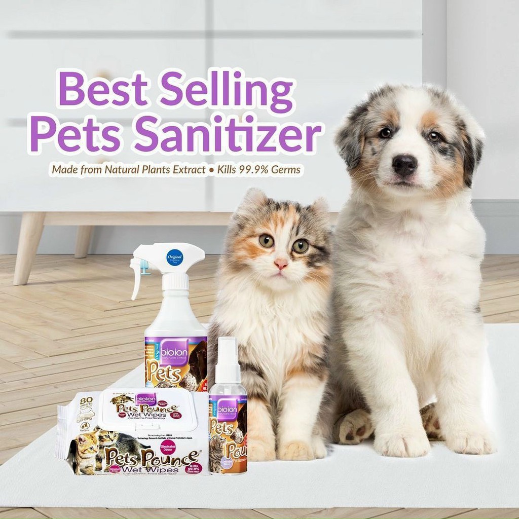 Khăn ướt chó mèo Bioion pets pounce 80 miếng, lau vệ sinh tai mặt chân cho mèo lớn mèo nhỏ Con Mèo Xiêm