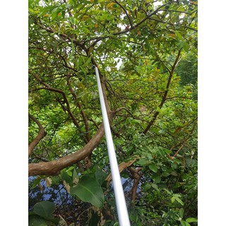 Kéo Cắt Cành Trên Cao 3 Đoạn Nhật Bản Dài 𝟯𝗠-𝟰𝗠-𝟱𝗠 ( Hái hoa quả, Tỉa cành, Cưa cây )