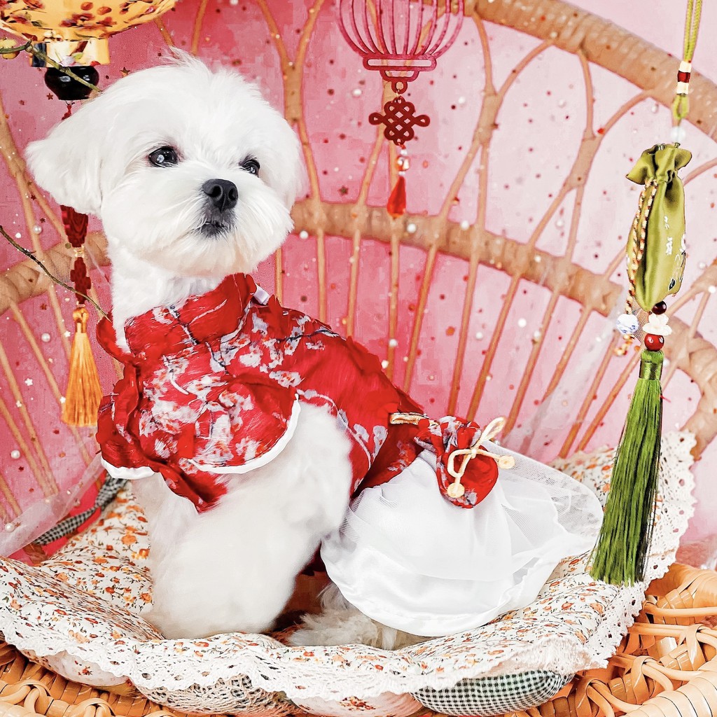 Áo dài cho chó mèo phong cách Hàn Quốc kèm túi tiền dễ thương sản phẩm Premium thiết kế sang trọng Hihapet.