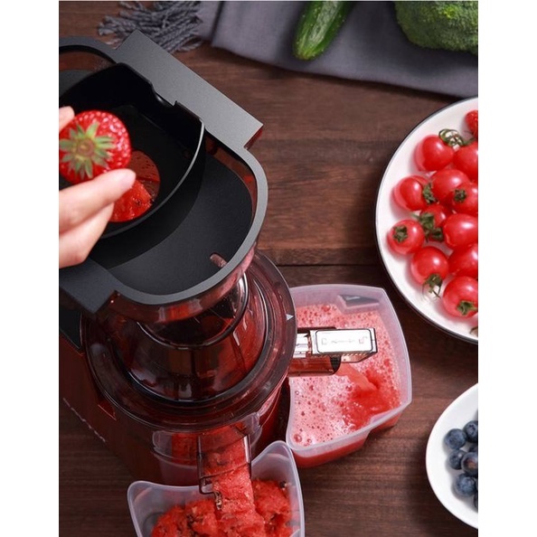 Máy Ép Chậm, Máy Ép Trái Cây Vắt Trái Cây Rau Củ SAVTM A09 - LAVITA