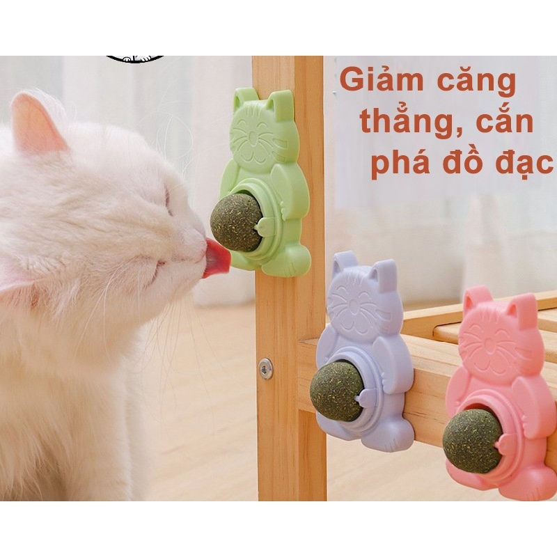 Cỏ bạc hà gắn tường cho mèo, Catnip cỏ bạc hà gắn tường, xoay 360 độ, giúp mèo giảm stress, thơm miệng, hạn chế cắn phá