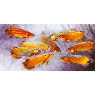 Tranh dán tường 3D-Cá phong thuỷ