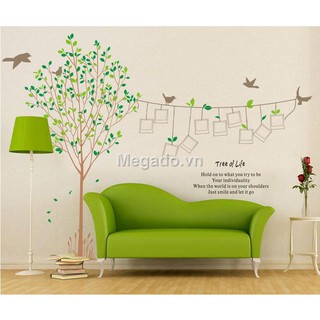 Decal khung ảnh A008