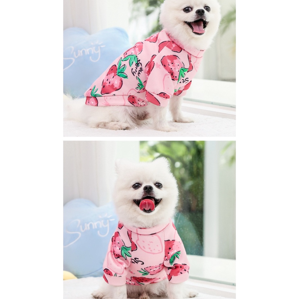 Áo nỉ có tay Màu Hồng thỏ dành cho các cô nàng Cún Miu sành điệu nữ tính - Hàng xuất siêu xịn