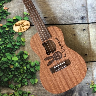 Đàn ukulele concert mhđ u600