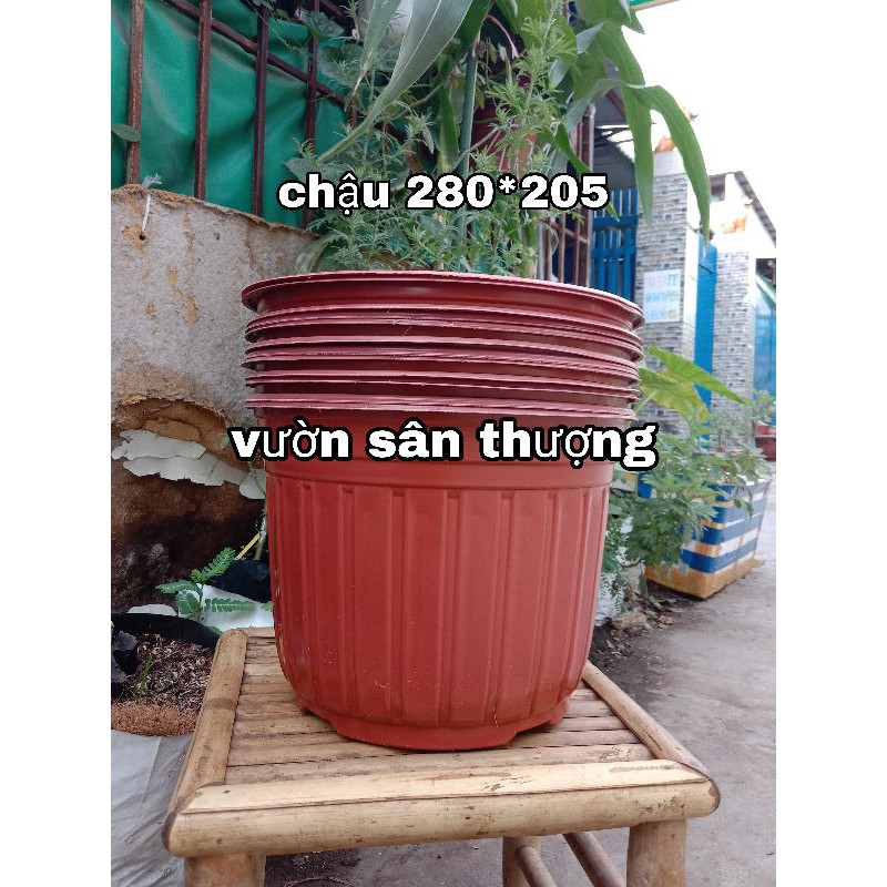 Set 5 Chậu Trồng Cây 280*205 Chuyên Trồng Hoa, Rau..