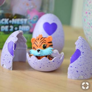 Thú Hatchimals khác nhau