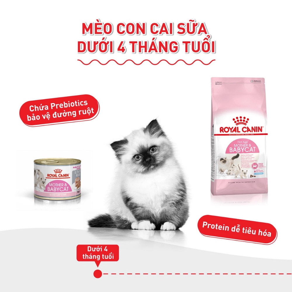 Thức ăn cho Mèo Con Royal Canin Kitten, túi 2 Kg