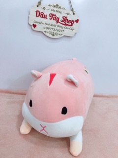 GẤU BÔNG CHUỘT HAMSTER (Kèm Ảnh Thật)