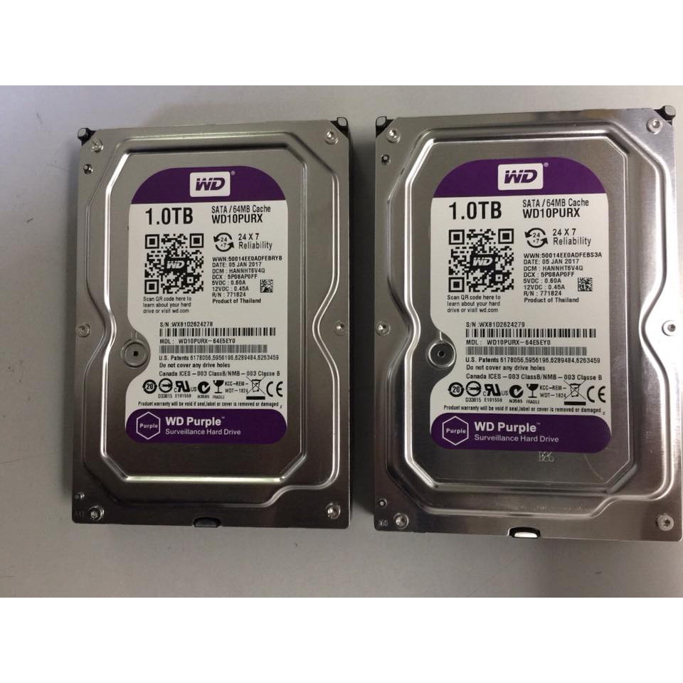 Ổ cứng HDD 1TB Western Purple (màu tím) cho camera