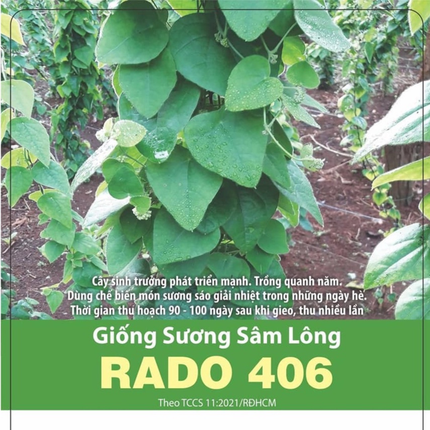 Hạt Giống Sương Sâm Lông (406) 0.5gr